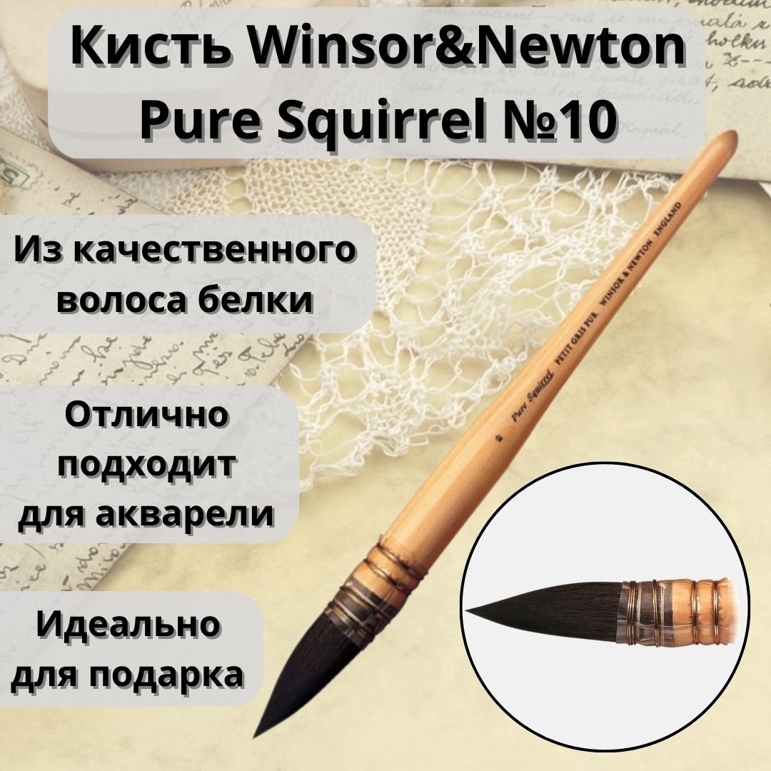 Кисти Winsor&Newton для акварели - Кисть для акварели с французским  креплением Winsor&Newton Pure Squirrel, белка, №10 WN5250310 по низкой  цене. Интернет магазин ARTPINOK.RU.