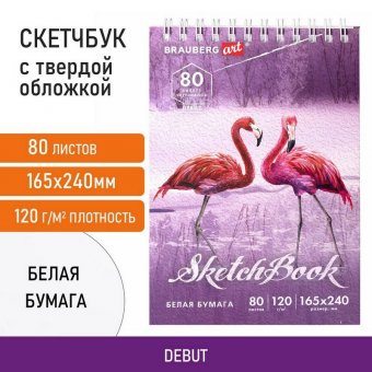 Скетчбук, белая бумага 120 г/м2 165х240 мм, 80 л., гребень, твердая обложка, BRAUBERG ART DEBUT, 112990