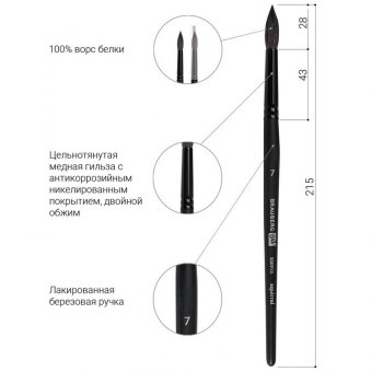 Кисть художественная проф. BRAUBERG ART CLASSIC, белка, круглая, № 7, 200913