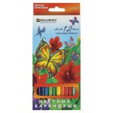 Карандаши цветные BRAUBERG "Wonderful butterfly" 12 цветов 180535
