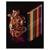 Набор из 12 цветных карандашей Bruynzeel Kids Super Colour, металлический пенал