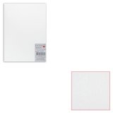 Белый картон грунтованный для живописи 25х35см, 2мм, акриловый грунт, двустор,